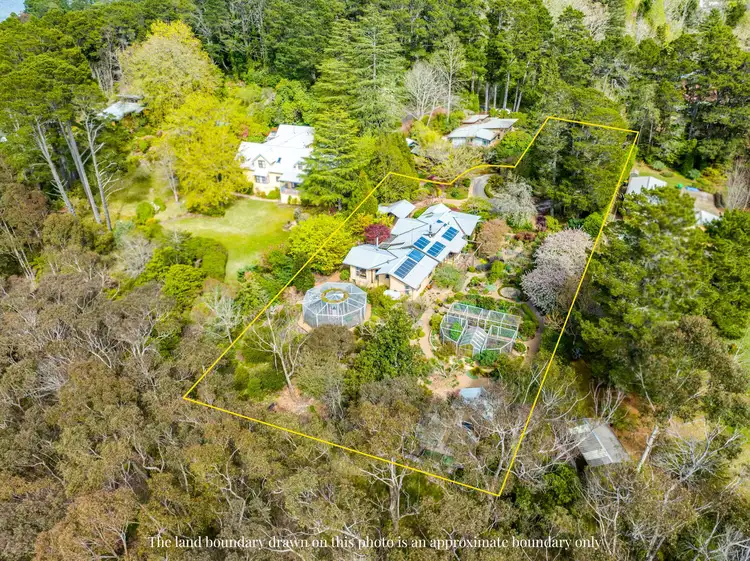 38 Jamieson Street, Wentworth Falls NSW 2782
