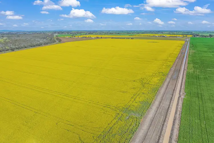 Fifth view of Homely rural property listing, 79 Boort-Yando Road, Boort VIC 3537