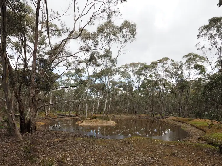Fifth view of Homely rural property listing, 805 Avoca Road, Amherst VIC 3371