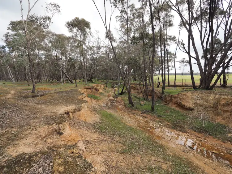 Seventh view of Homely rural property listing, 805 Avoca Road, Amherst VIC 3371