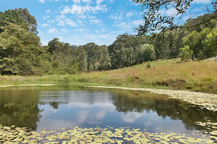 Third view of Homely rural property listing, 101 Christies Road, Palmvale NSW 2484