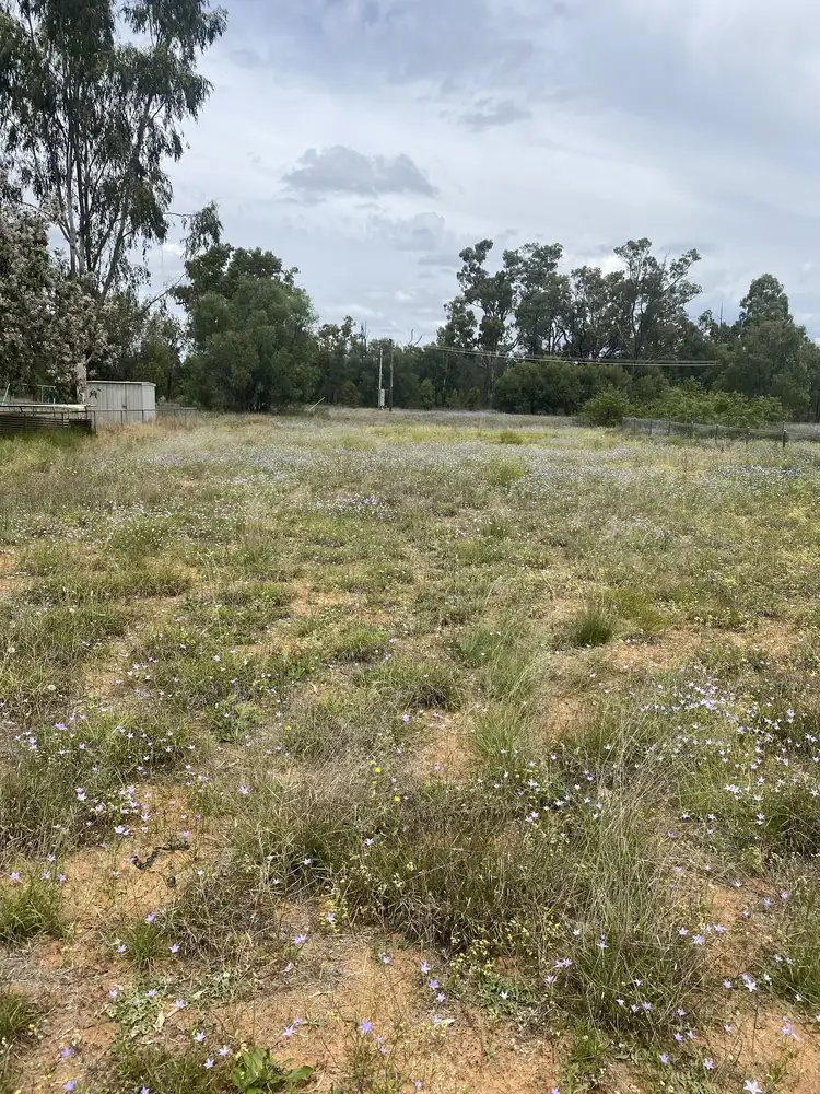 Second view of Homely land listing, LOT 18, 10 Cypress, Charleville QLD 4470