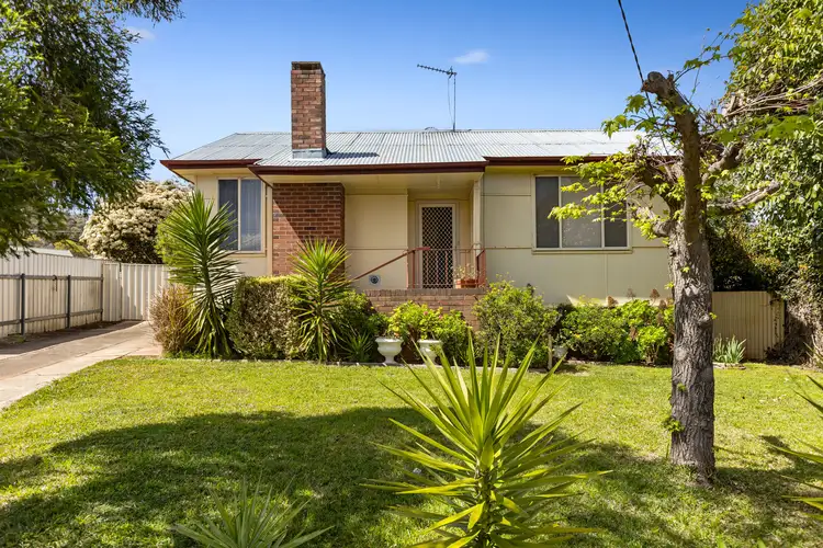 Main view of Homely house listing, 49 Phillip Avenue, Mount Austin NSW 2650