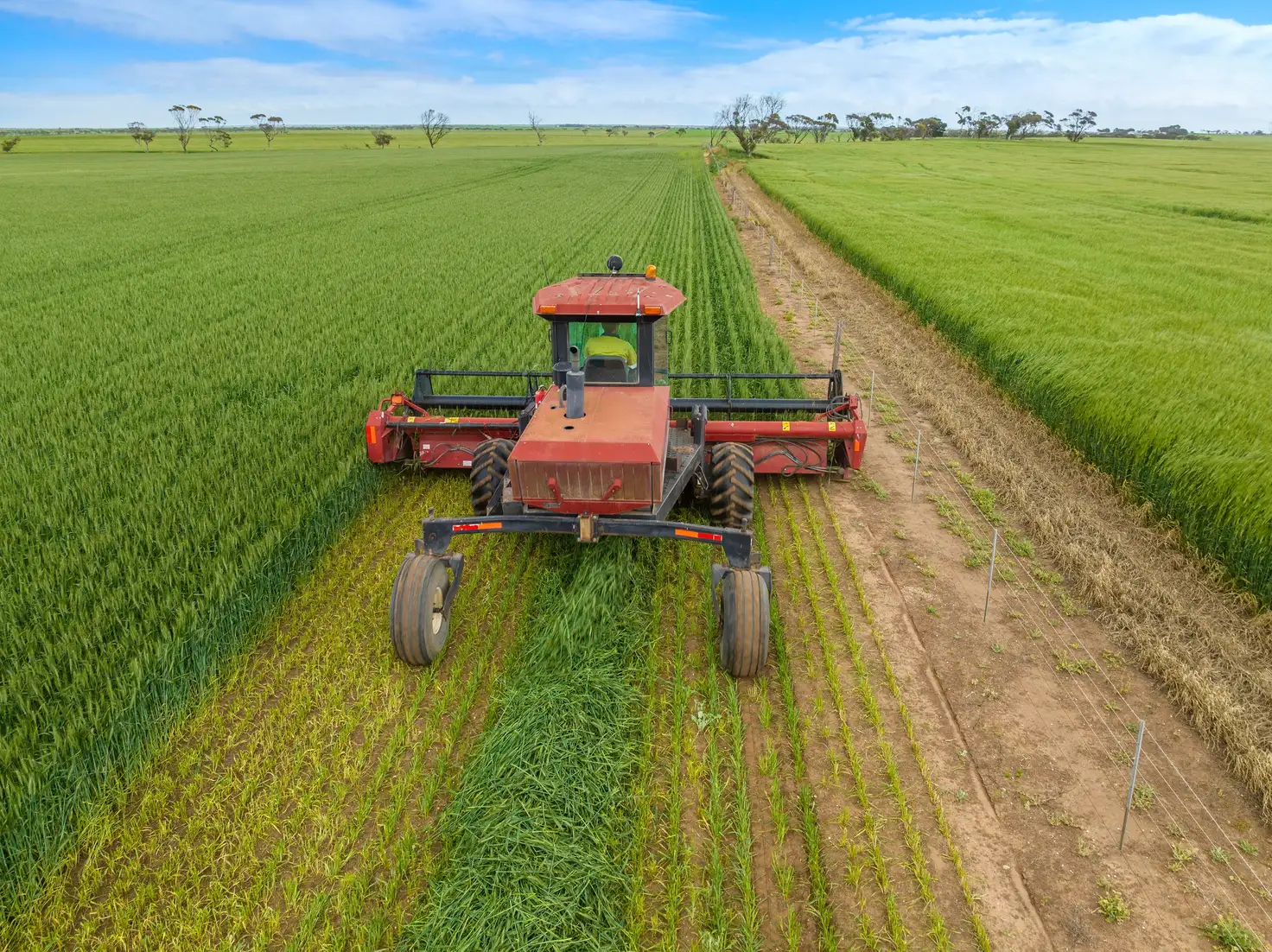 Main view of Homely rural property listing, 3 Lots, Haldanes Road, Bute SA 5560