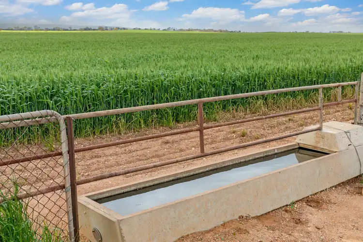 Fourth view of Homely rural property listing, 3 Lots, Haldanes Road, Bute SA 5560