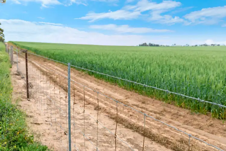 Fifth view of Homely rural property listing, 3 Lots, Haldanes Road, Bute SA 5560