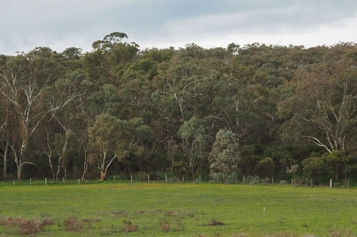 Main view of Homely land listing, LOT 9, 60 Caldwell Street, Heathcote VIC 3523