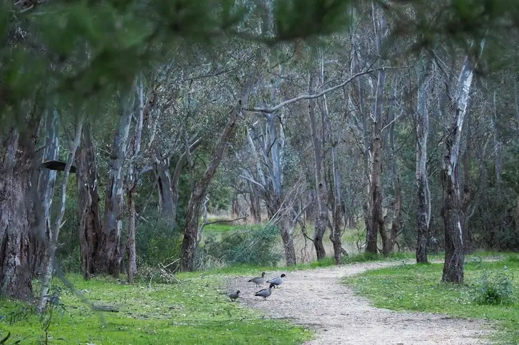 Fourth view of Homely land listing, LOT 9, 60 Caldwell Street, Heathcote VIC 3523