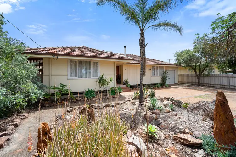 110 Wittenoom Street, West Lamington WA 6430