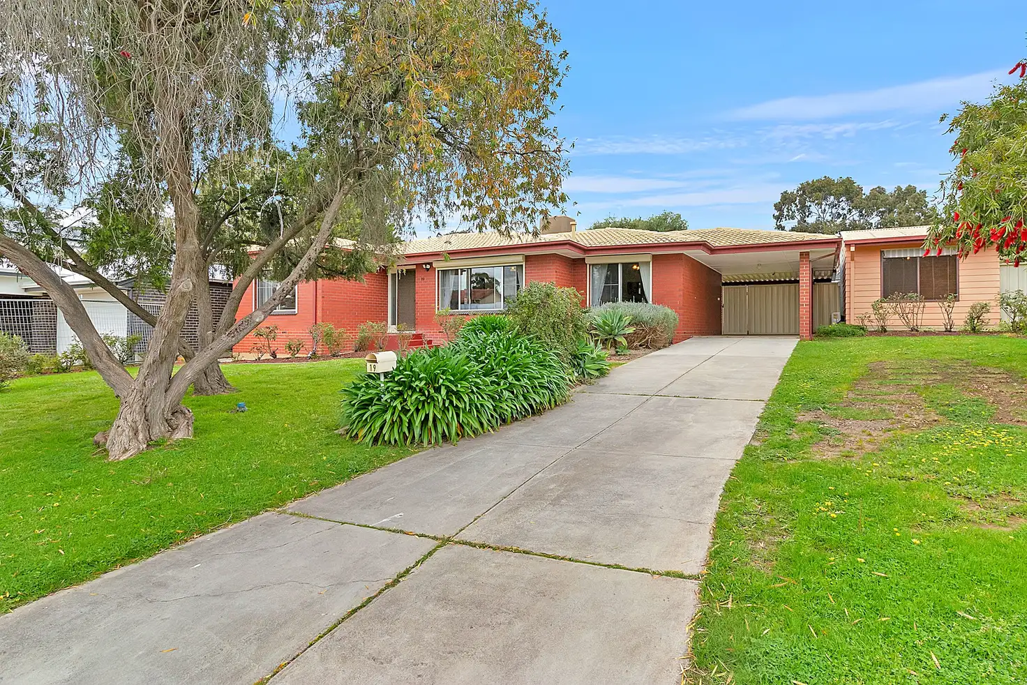 Main view of Homely house listing, 19 Leyte Drive, Surrey Downs SA 5126