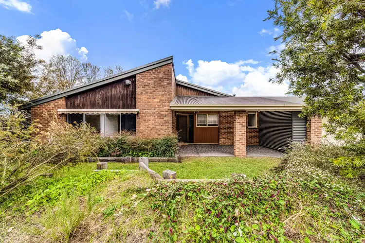 Main view of Homely house listing, 36 Wattle Street, Lyneham ACT 2602
