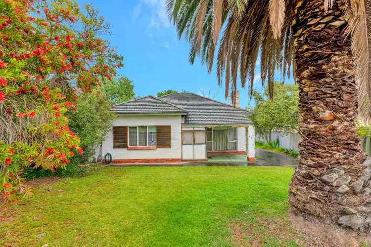 Second view of Homely house listing, 3 Moriane Avenue, Panorama SA 5041