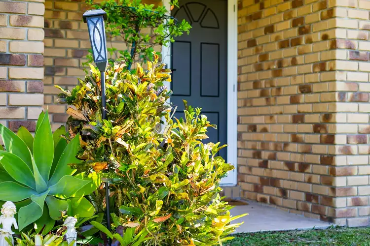 Fourth view of Homely house listing, 7 Aster Street, Deception Bay QLD 4508