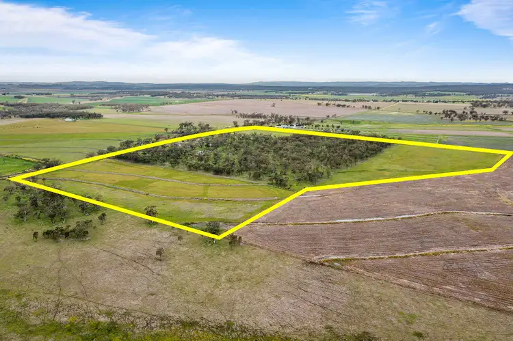 Sixth view of Homely rural property listing, 143 Glenbuckie Road, Talgai QLD 4362