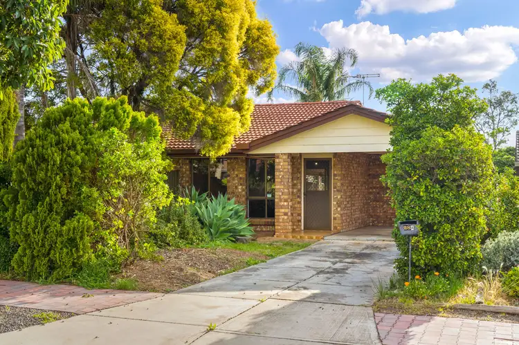 28A Avenue Road, Paradise SA 5075