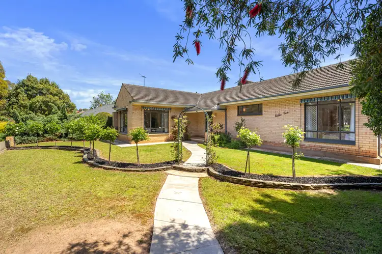 Main view of Homely house listing, 37 Minchinbury Terrace, Marion SA 5043