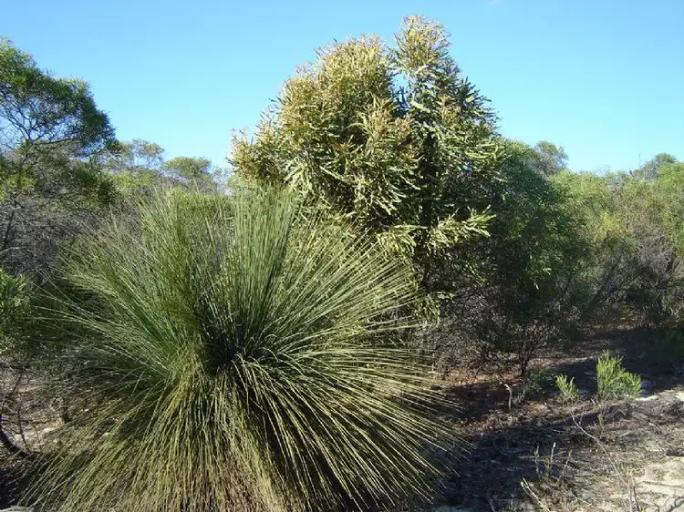 Lot 35 River Loop, Jurien Bay WA