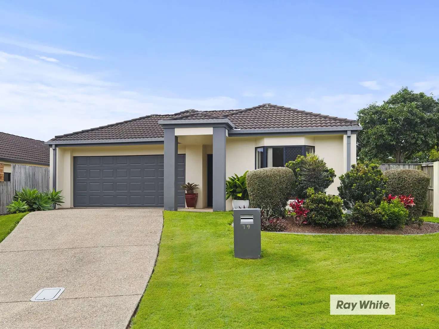 Main view of Homely house listing, 19 Catalina Circuit, Forest Lake QLD 4078