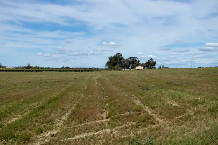 Third view of Homely house listing, 265 Puddletown Road, Winkie SA 5343