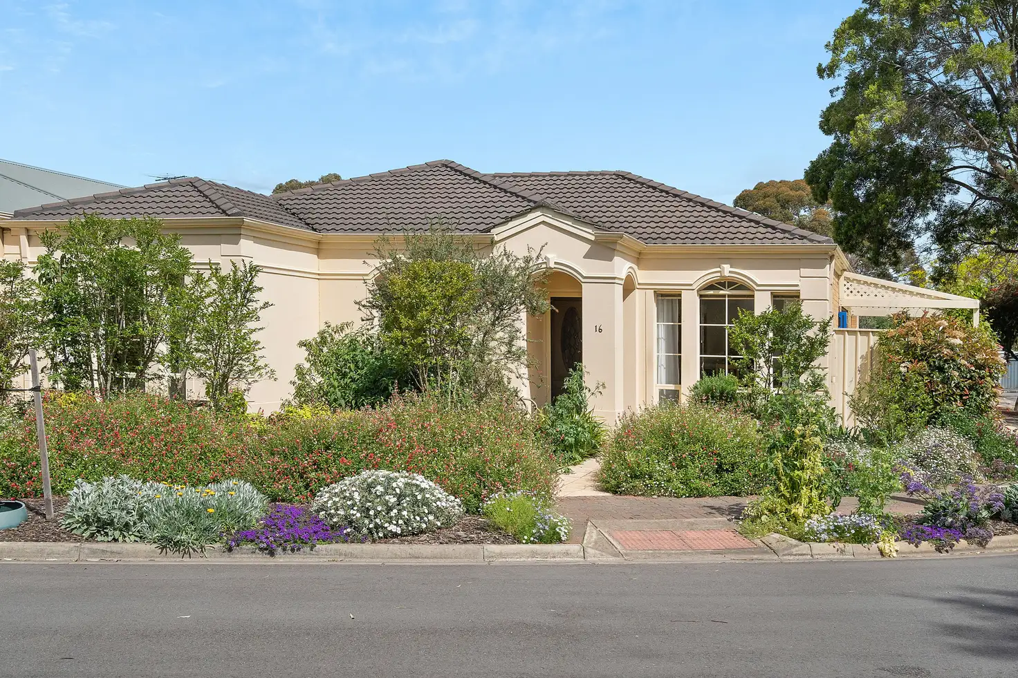 Main view of Homely house listing, 16 Azalea Drive, Lockleys SA 5032