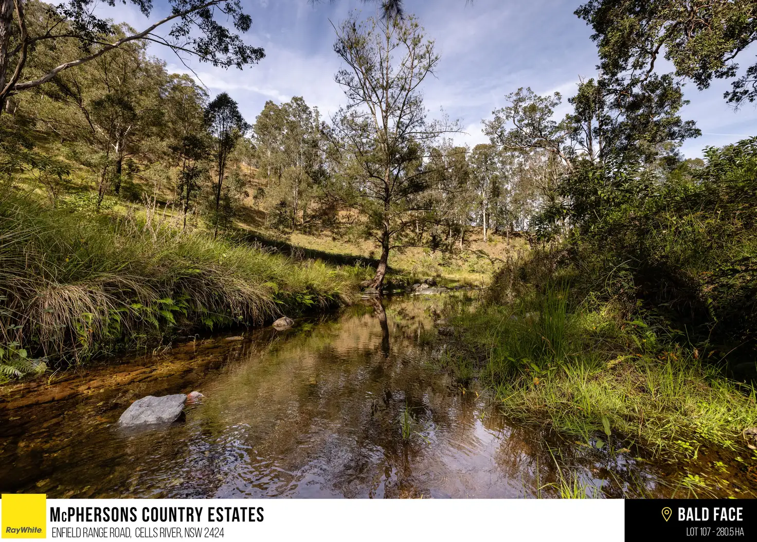 Main view of Homely rural property listing, McPhersons Country Estates, Enfield Range Road, Cells River NSW 2424