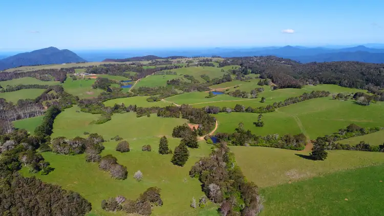 Second view of Homely rural property listing, 94 Mountain Top Road, Dorrigo NSW 2453