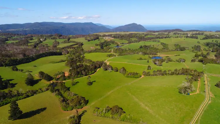 Third view of Homely rural property listing, 94 Mountain Top Road, Dorrigo NSW 2453