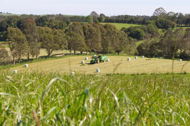 Sixth view of Homely rural property listing, 94 Mountain Top Road, Dorrigo NSW 2453