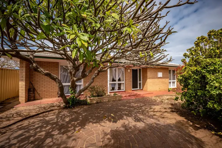 Main view of Homely house listing, 66 Phelps Street, Wonthella WA 6530