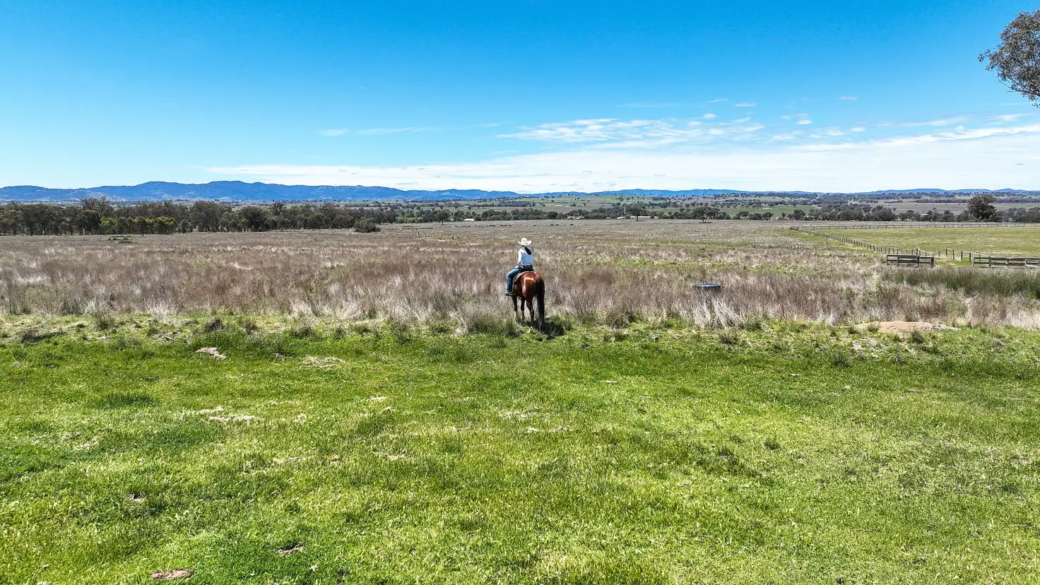 Main view of Homely rural property listing, 'Kiora' Kia Ora Lane, Tamworth NSW 2340