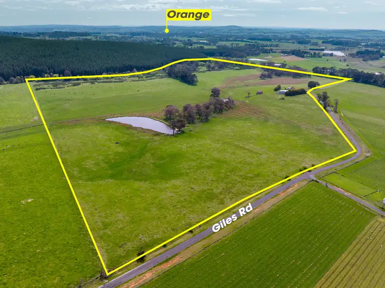 66 Giles Road, Orange NSW 2800