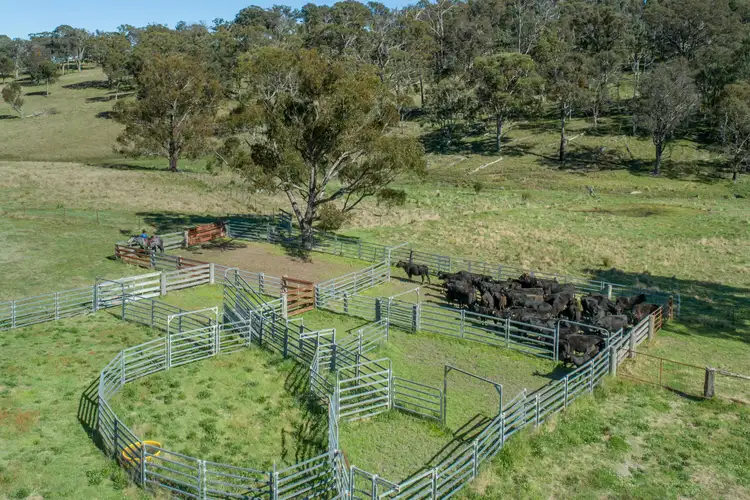 Sixth view of Homely rural property listing, 805 Sandy Flat Road, Tenterfield NSW 2372