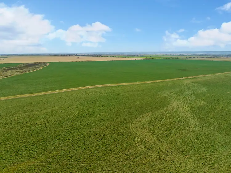 Main view of Homely rural property listing, 'Red Rock' Everard Road, Everard Central SA 5461