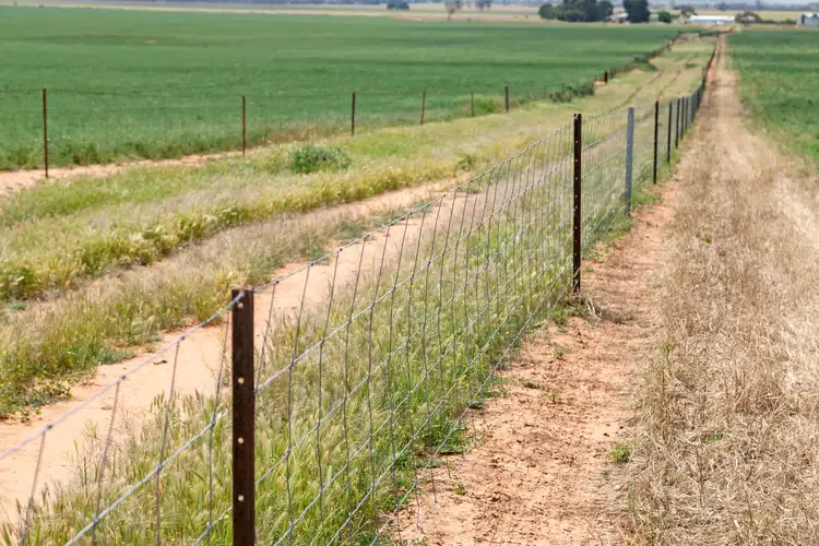 Third view of Homely rural property listing, 'Red Rock' Everard Road, Everard Central SA 5461
