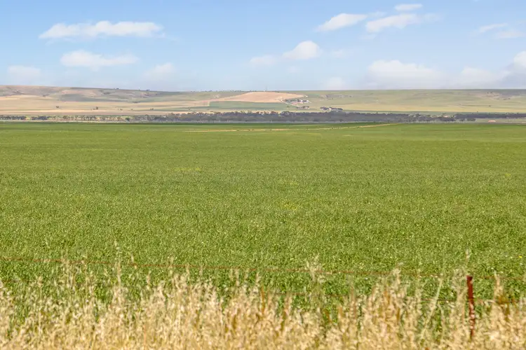 Fifth view of Homely rural property listing, 'Red Rock' Everard Road, Everard Central SA 5461
