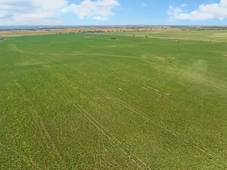 Sixth view of Homely rural property listing, 'Red Rock' Everard Road, Everard Central SA 5461