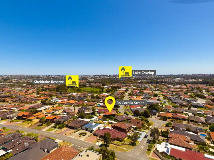 Second view of Homely other listing, 36 Corella Street, Stirling WA 6021