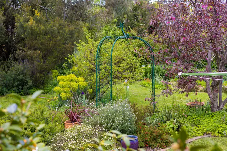 163 Blamey Crescent, Campbell ACT 2612