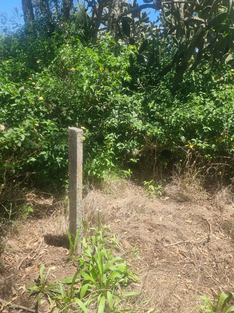 Second view of Homely land listing, Lot 17 Garrett Street, Haden QLD 4353