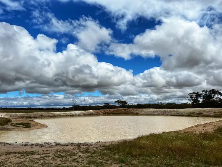 Seventh view of Homely rural property listing, 678 East Road, Pingrup WA 6343
