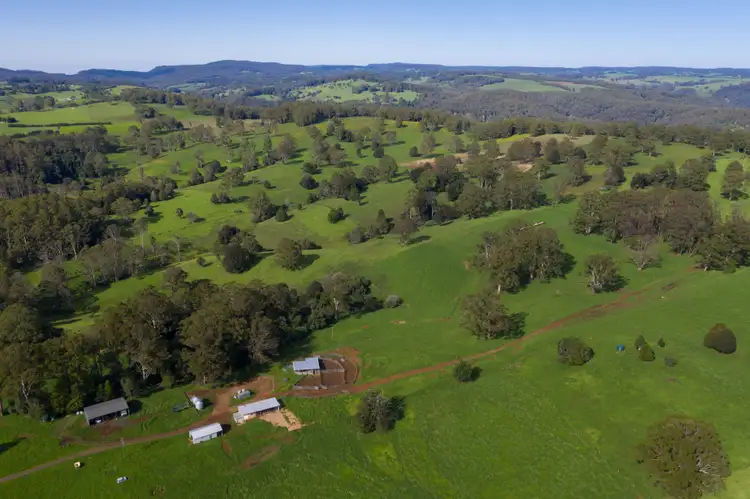 Fifth view of Homely rural property listing, 106 Harveys Road, Dorrigo NSW 2453