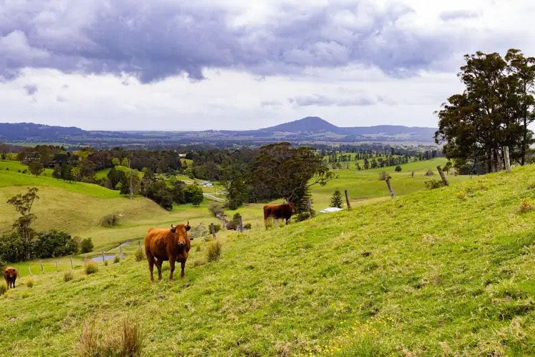 Second view of Homely rural property listing, 245 Croziers Road, Jaspers Brush NSW 2535