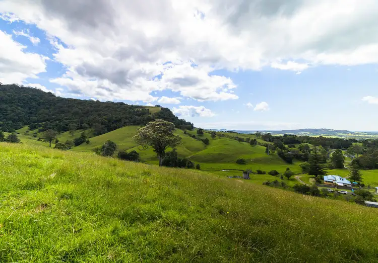 Third view of Homely rural property listing, 245 Croziers Road, Jaspers Brush NSW 2535