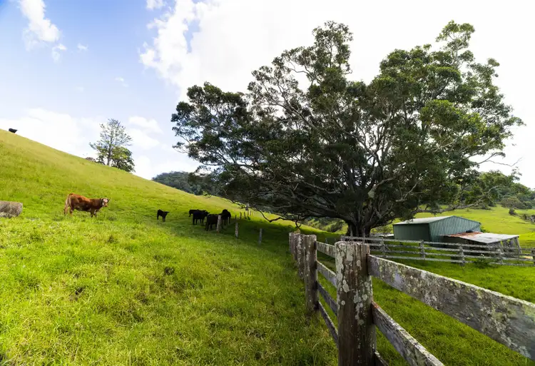 Fourth view of Homely rural property listing, 245 Croziers Road, Jaspers Brush NSW 2535