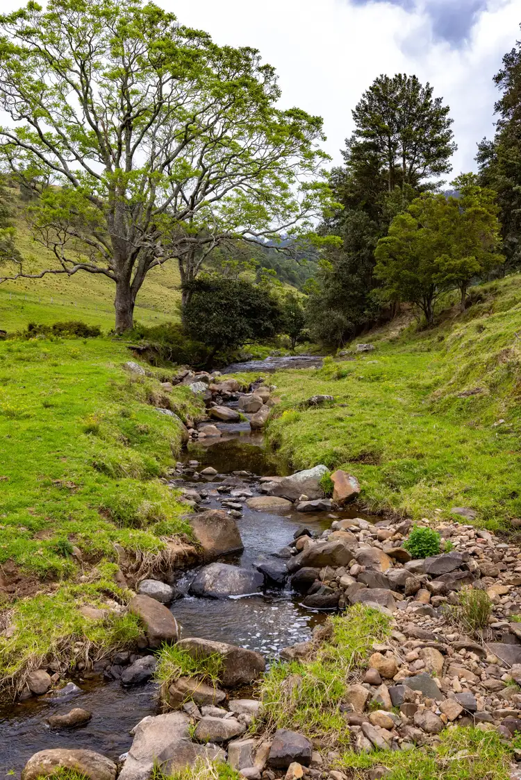 Fifth view of Homely rural property listing, 245 Croziers Road, Jaspers Brush NSW 2535