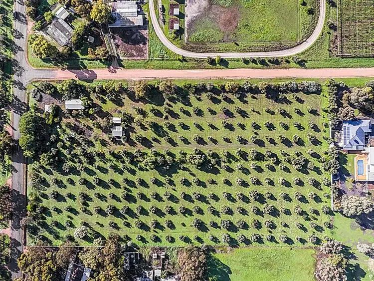 Second view of Homely house listing, 12 Mccord Road, Two Wells SA 5501