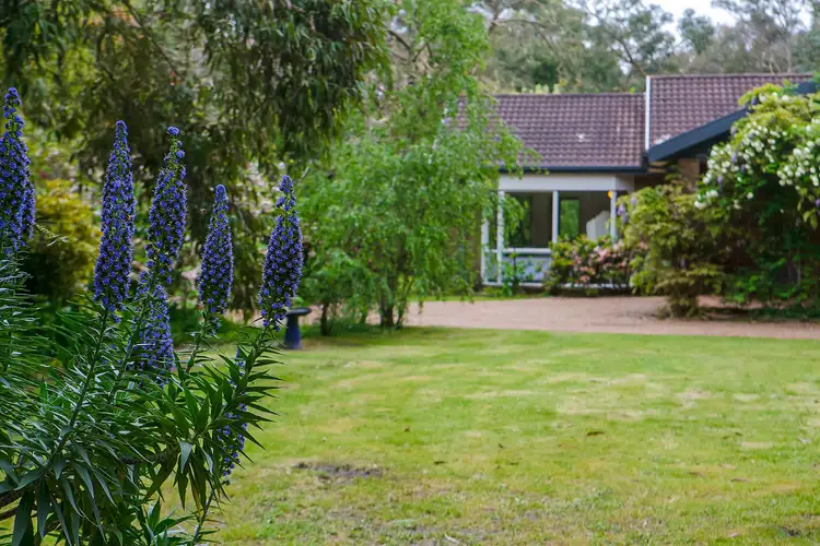 Third view of Homely rural property listing, 17 Gum Hill Drive, Langwarrin VIC 3910