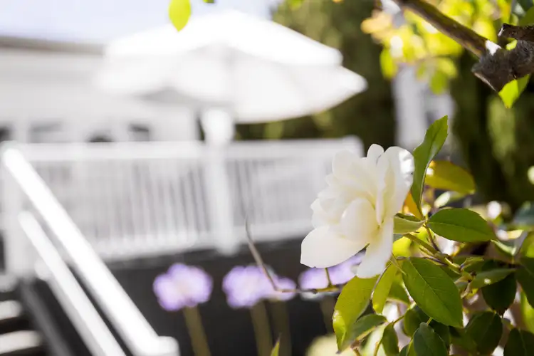 Fifth view of Homely house listing, 124 Victoria Street, Mosman Park WA 6012