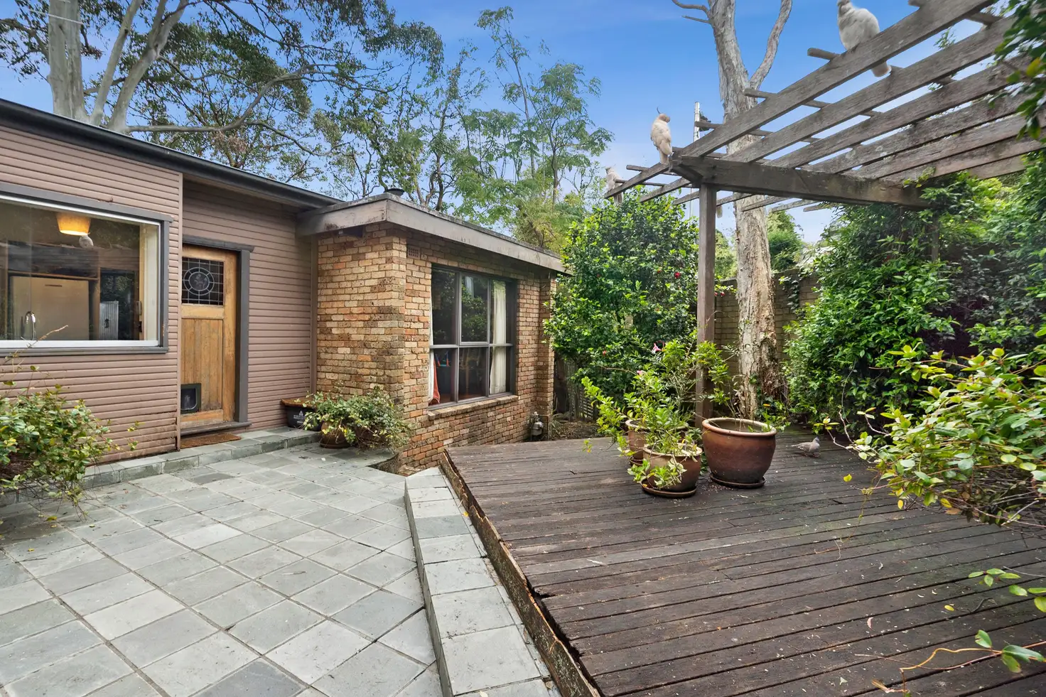 Main view of Homely house listing, 11 Bangalla Place, Forestville NSW 2087