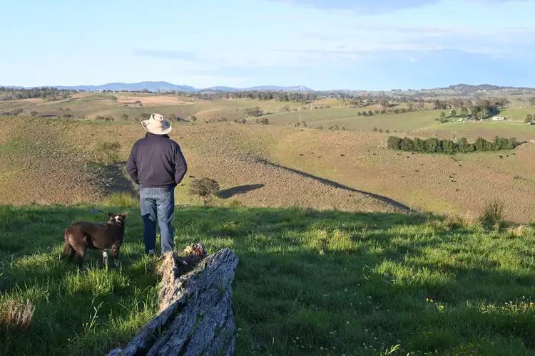 Main view of Homely rural property listing, Lots 24 & 25 Bruxner Highway, Tenterfield NSW 2372